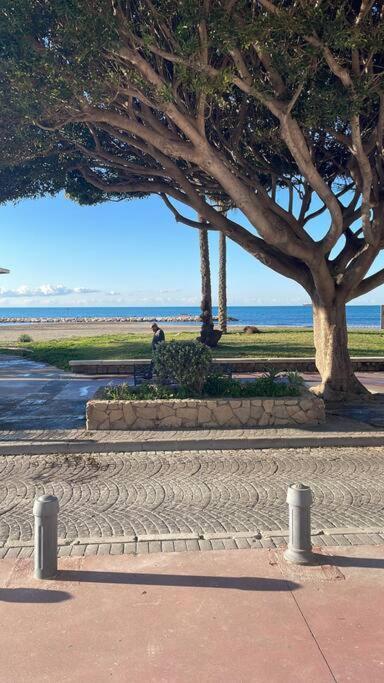 Beachfront House مالقة المظهر الخارجي الصورة